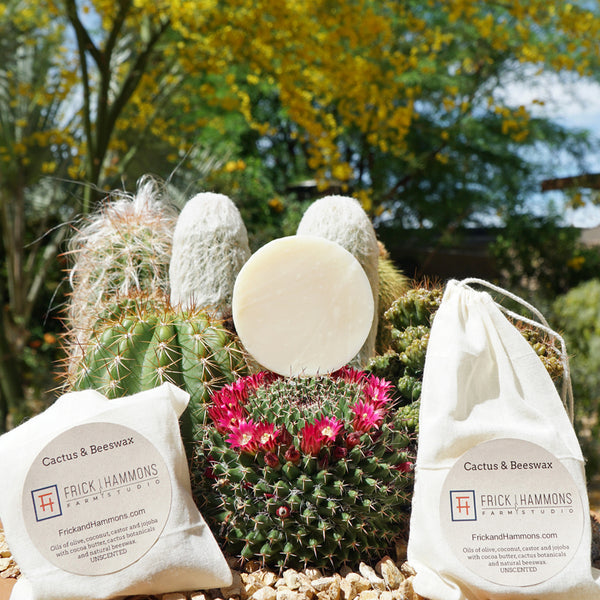 Cactus & Beeswax Soap (Pack of 3 Bars)