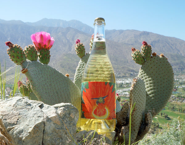 Desert Blossom Honey Sparkling Mead Wine