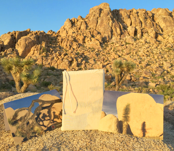 Joshua Tree Double-Sided Greeting Card:  "Lifecycle"  (10 Pack)