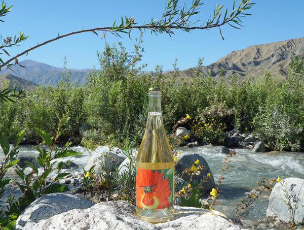 Desert Blossom Honey Sparkling Mead Wine