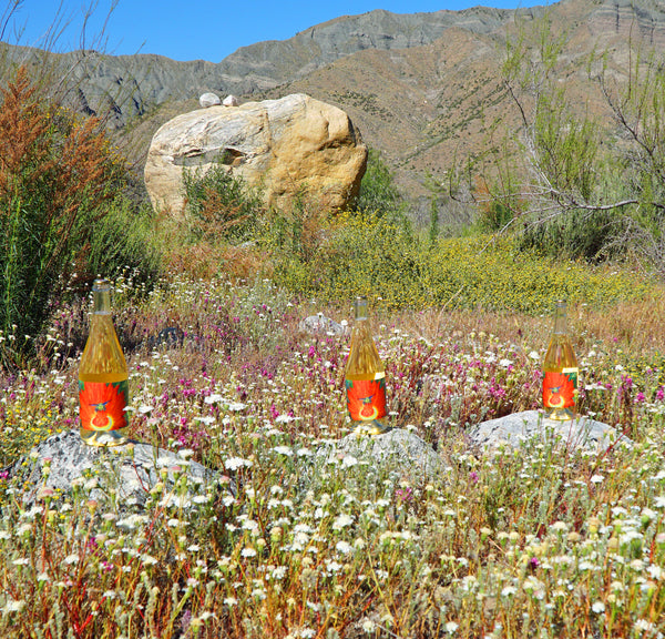 Desert Blossom Honey Sparkling Mead Wine