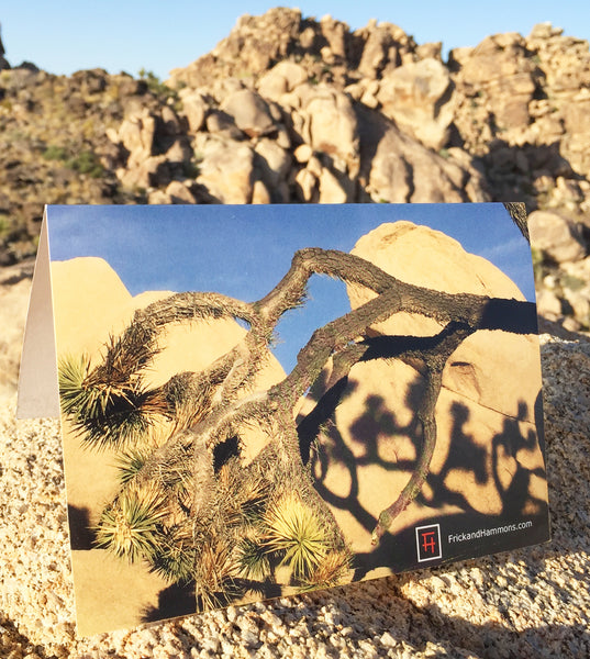 Joshua Tree Double-Sided Greeting Card:  "Lifecycle"  (10 Pack)