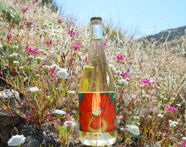 Desert Blossom Honey Sparkling Mead Wine